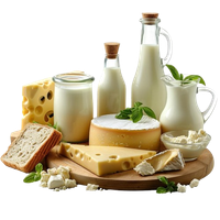 বাটার ও দুগ্ধজাত পণ্য| Butter & Dairy Product