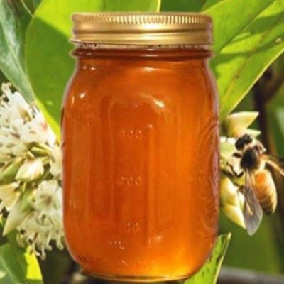 সুন্দরবনের খলিশা ফুলের মধু || Sundarban Khalisha flower Honey